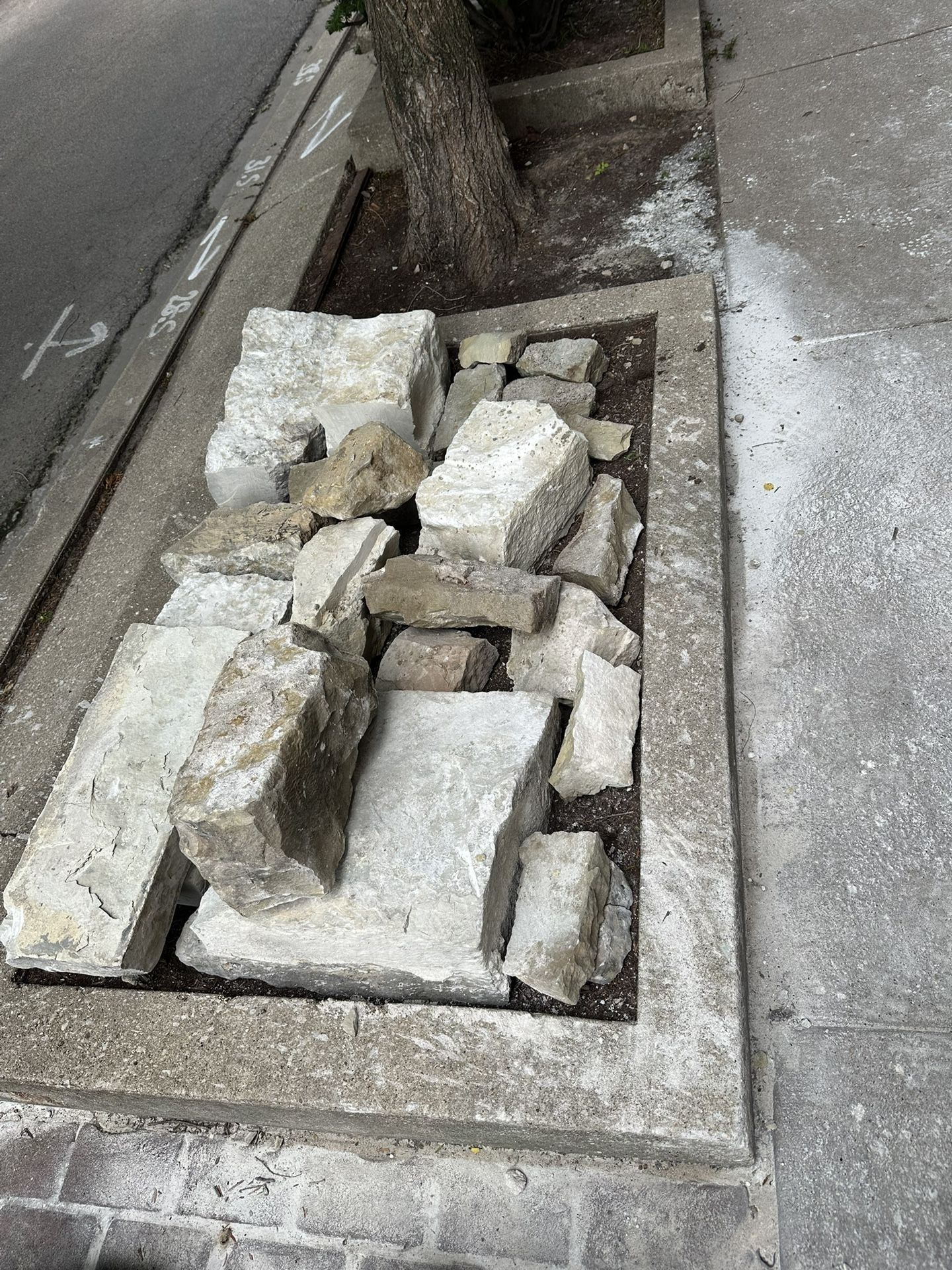 Free Garden Stoney 1875 N Dayton Chicago 