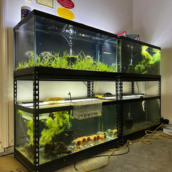 40 gallon breeder aquarium with glass lid and LED