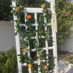 Trellis With Oranges Decor