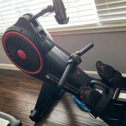 Echelon Row Rowing Machine