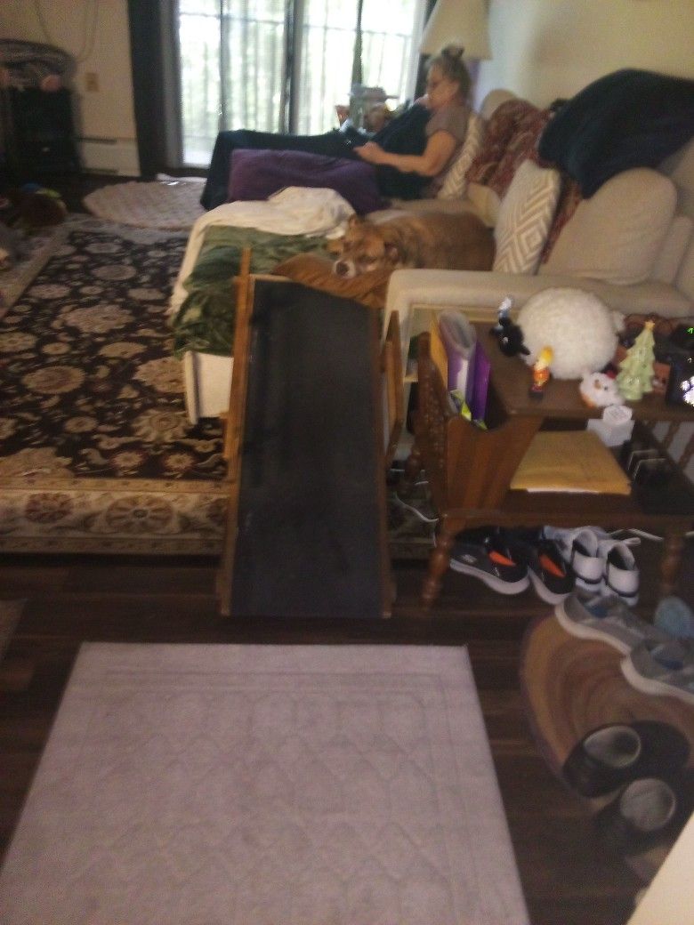 I Have Two Dog Ramps Brand New In the Box .The one you are Looking at is for are Dog