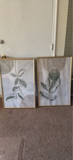 24x36 frames