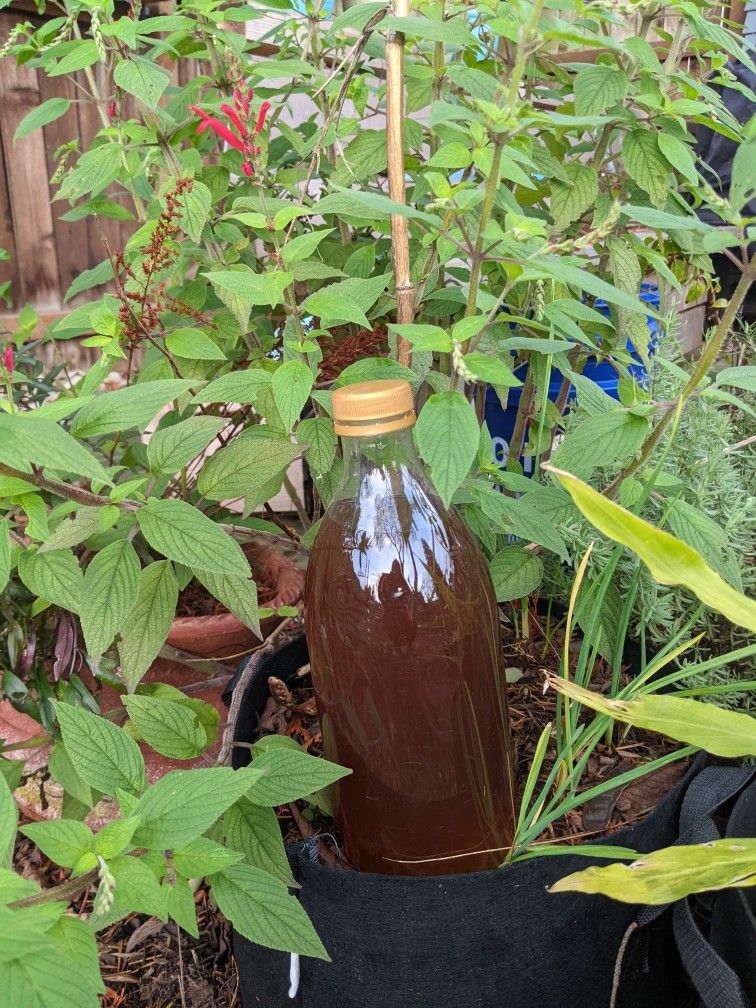 Worm Compost Liquid Fertilizer For Organic Gardening