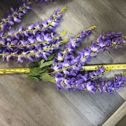 Purple Wisteria 