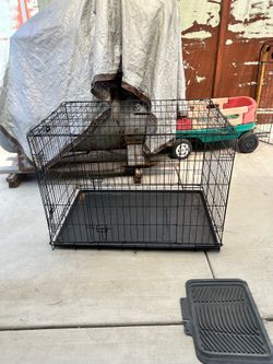 Dog crate for sale