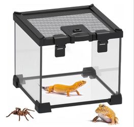 BNOSDM Reptile Tank,8" x 8" x 6" Mini Reptiles Terrarium