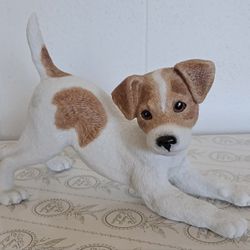 Lenox - Jack Russell Terrier