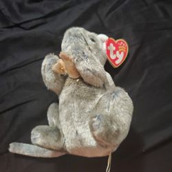 Cheddar The Beanie Baby