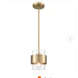 Pendant Ceiling Light