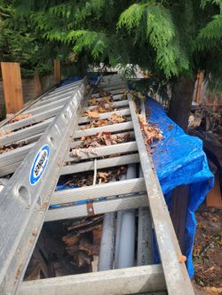 21" ext ladder
