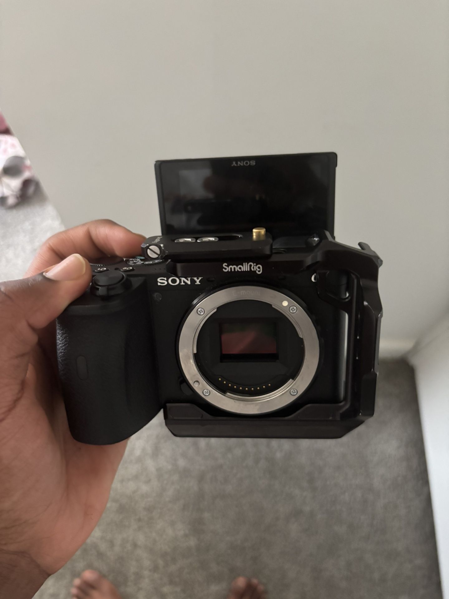 Sony A6600