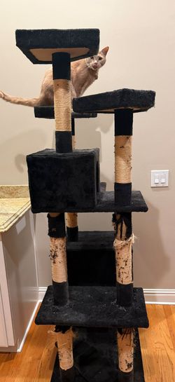 Go Pet Club Multi-Level Cat Tree (Moving Sale)