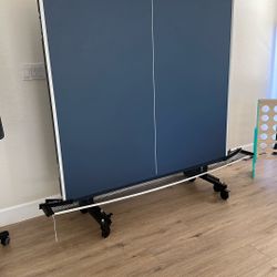 Ping Pong Table