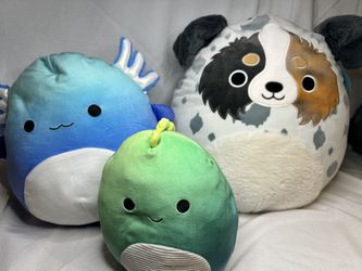 Squishmallow  Set 