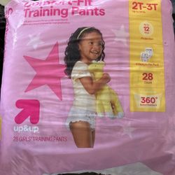 Up And Up Training Pants 
