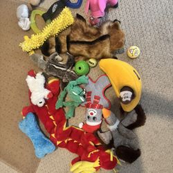 Assorted Dog Toys (unused)