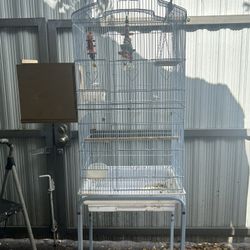 Bird Cage 