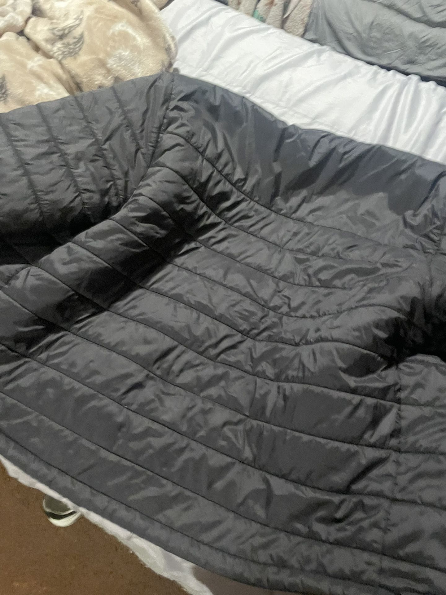 True Religion Puffer