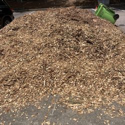 Wood Chips. (free)