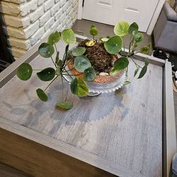 Gray Coffee Table With Drawers