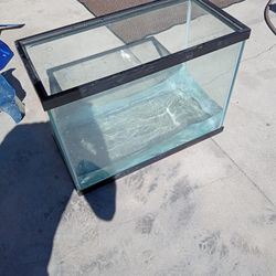20 Gallon Aquarium