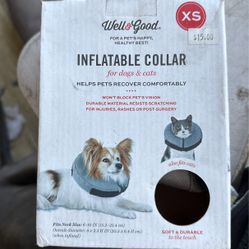 Pet Collar