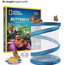 FOR SOMEONE IN NEED- BUTTERFLY GROWING KIT
