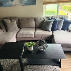 Free Couch & Coffee Table