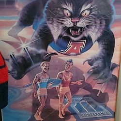 Vintage 1980s UofA Wildcats Framed Art