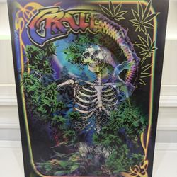 Rock n Roll (The Grateful Dead) 12” X 16”- 3D Poster