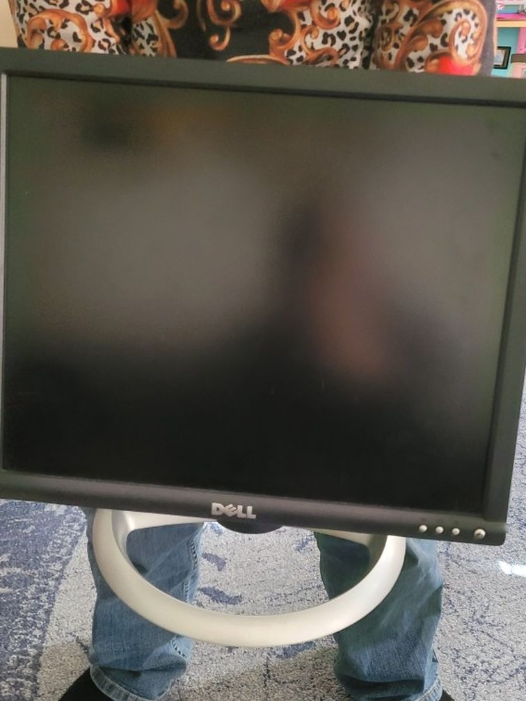 Dell Computor Monitor 1703FPt