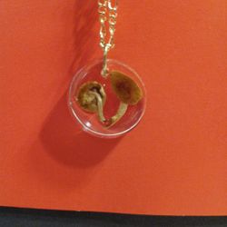 Magic Mushroom On Gold Chain