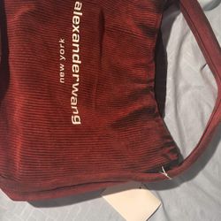 Alexander Wang 500 Dollar Purse 