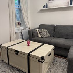 White Coffee Table Trunk & TV console