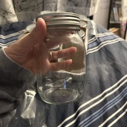 12 Pack Glass Mason Jars