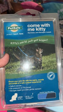 Cat harness and leash