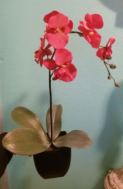 Red Flowers with pot...Size 1 ft tall..Good Condition!