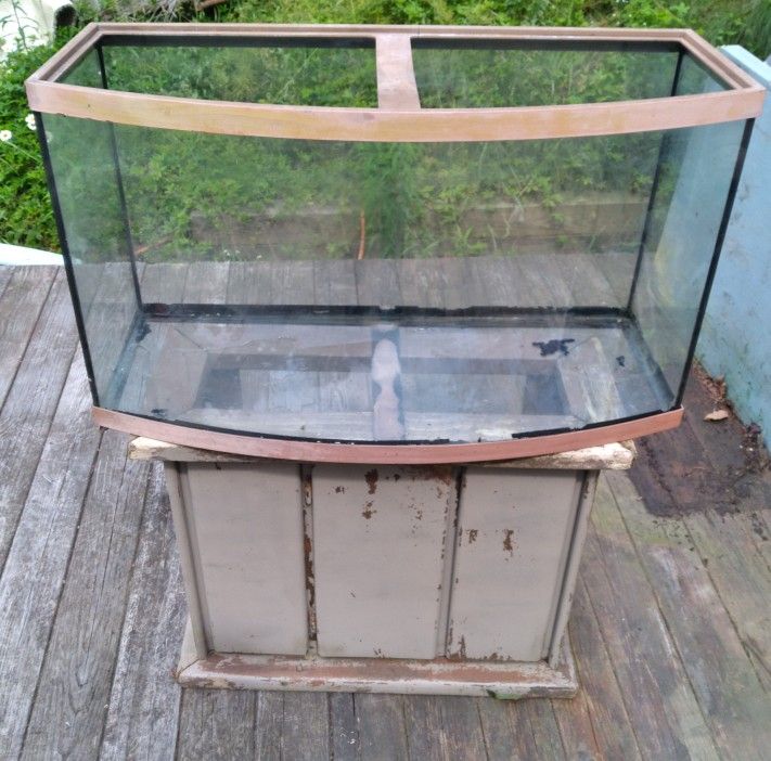 Large Curved Fish Tank--O.B.O