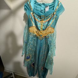 Jasmine Aladdin Costume 