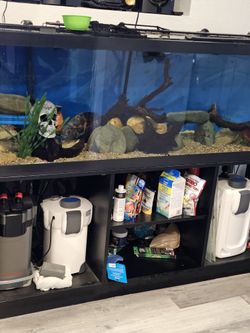 125 Gallon Fishtank 