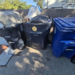 Garbage Can Power Washing & Disinfectant 