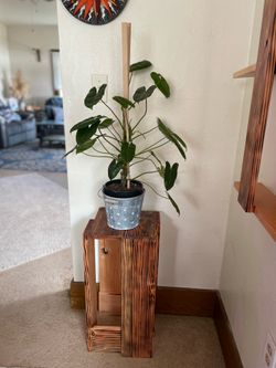 Side table / plant stand