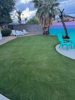 Turf Cleaning