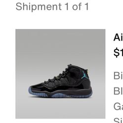 Air Jordan  11 Retro Gamma