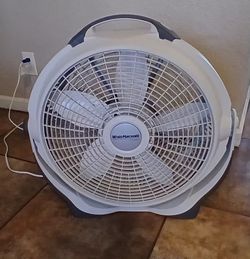 Fan