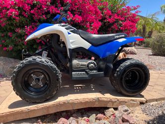2014 Polaris Phoenix 200