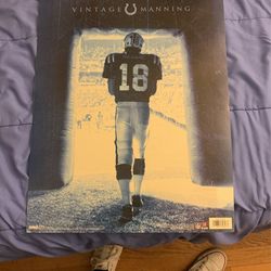 Peyton Manning Colts Poster