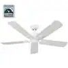 Brand New Ceiling Fan
