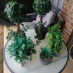 Artificial Plants And Lantern 