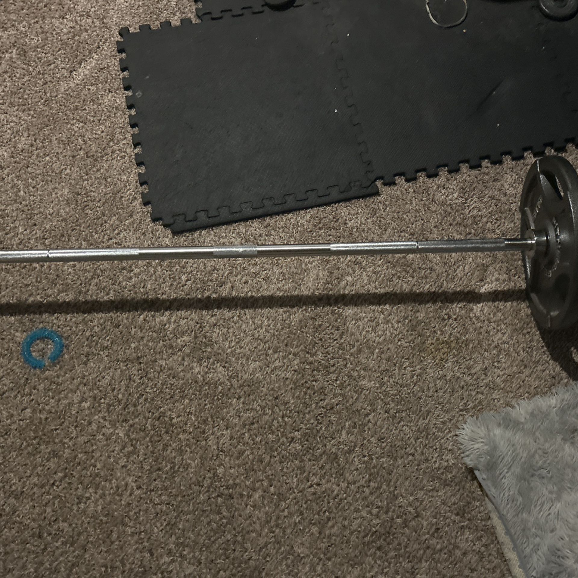45lb Olympic Barbell